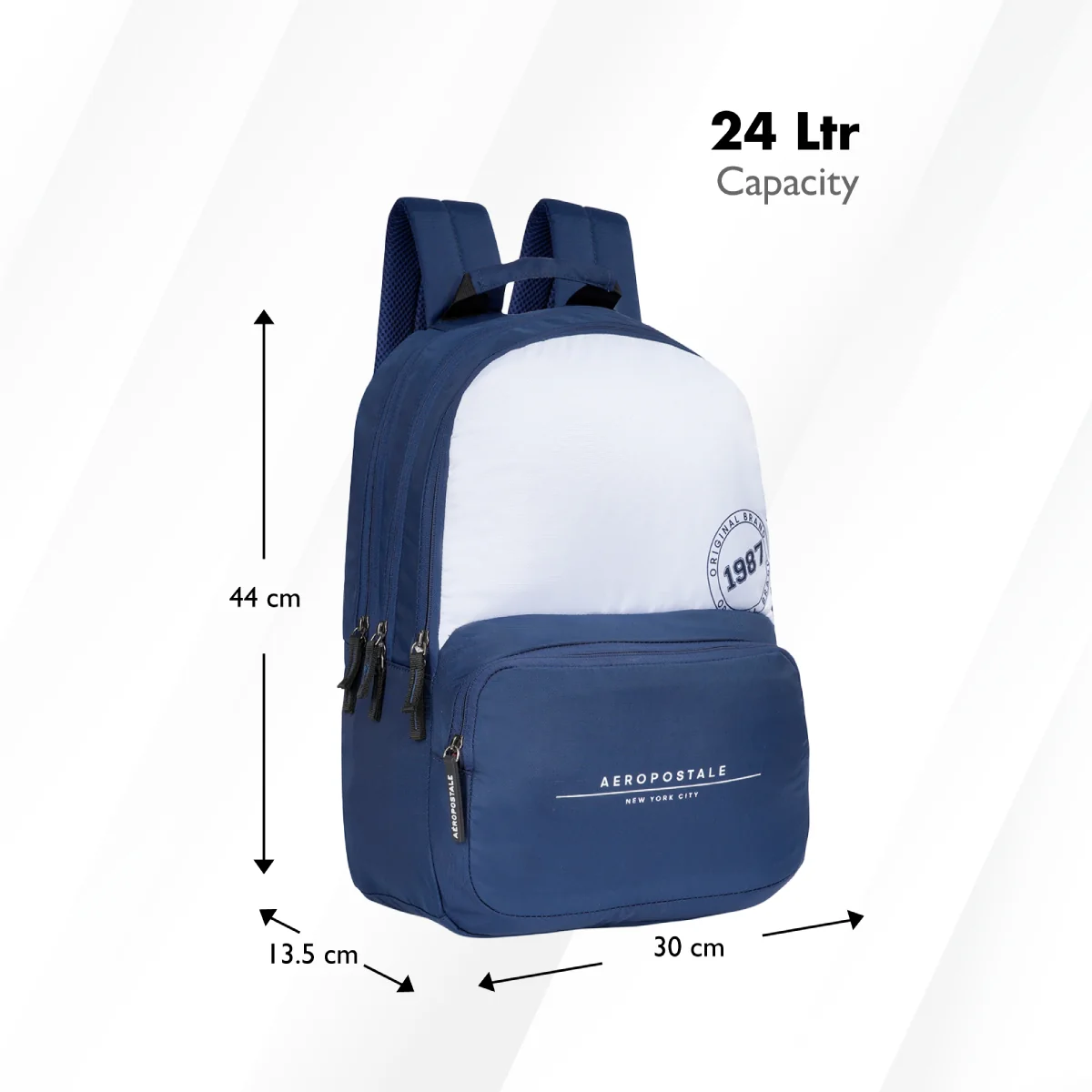 Aeropostale Wilton Laptop Backpack - Image 8
